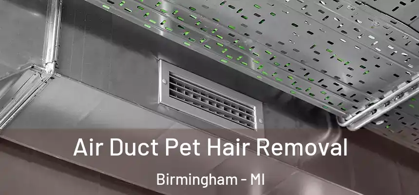 Air Duct Pet Hair Removal Birmingham - MI
