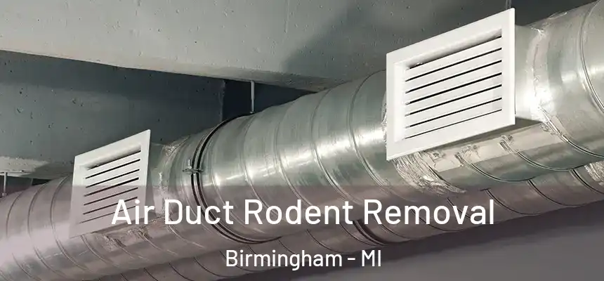Air Duct Rodent Removal Birmingham - MI