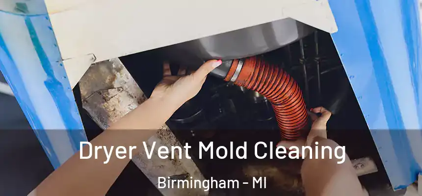  Dryer Vent Mold Cleaning Birmingham - MI