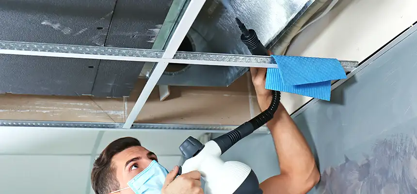 Our Air Duct Rodent Removal Services in Birmingham, MI