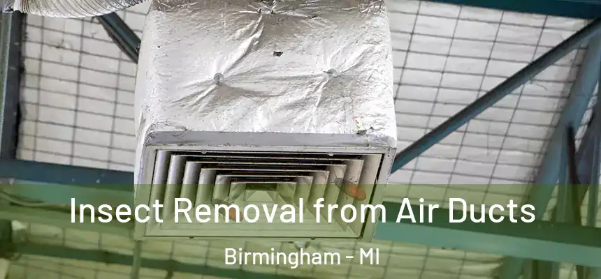 Insect Removal from Air Ducts Birmingham - MI