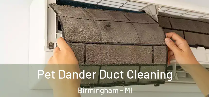  Pet Dander Duct Cleaning Birmingham - MI