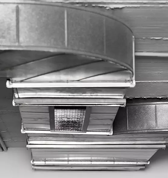 Professional Air Duct Pest Removal in Birmingham, MI