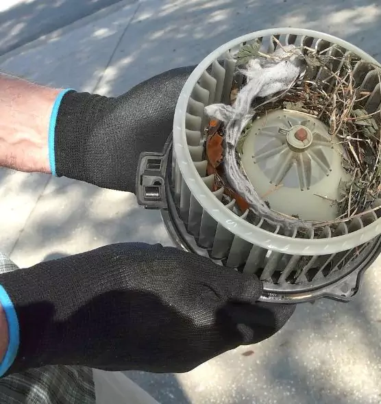 About Air Duct Rat Removal in Birmingham, MI