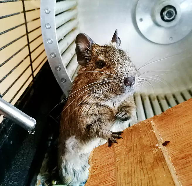 Why Homeowners & Businesses Trust Us Birmingham, MI