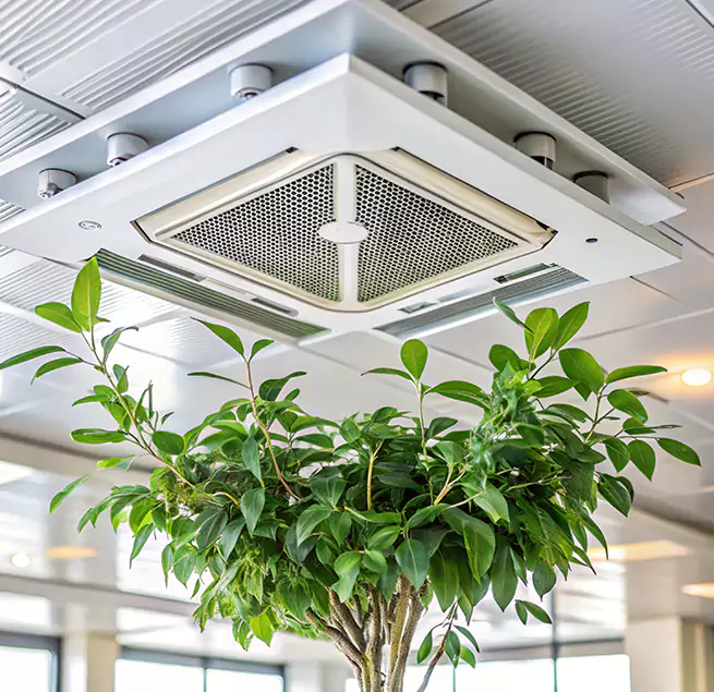 Why Homeowners & Businesses Trust Us in Birmingham, MI