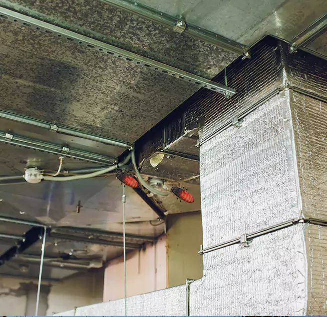 Why Homeowners & Businesses Trust Us Birmingham, MI?